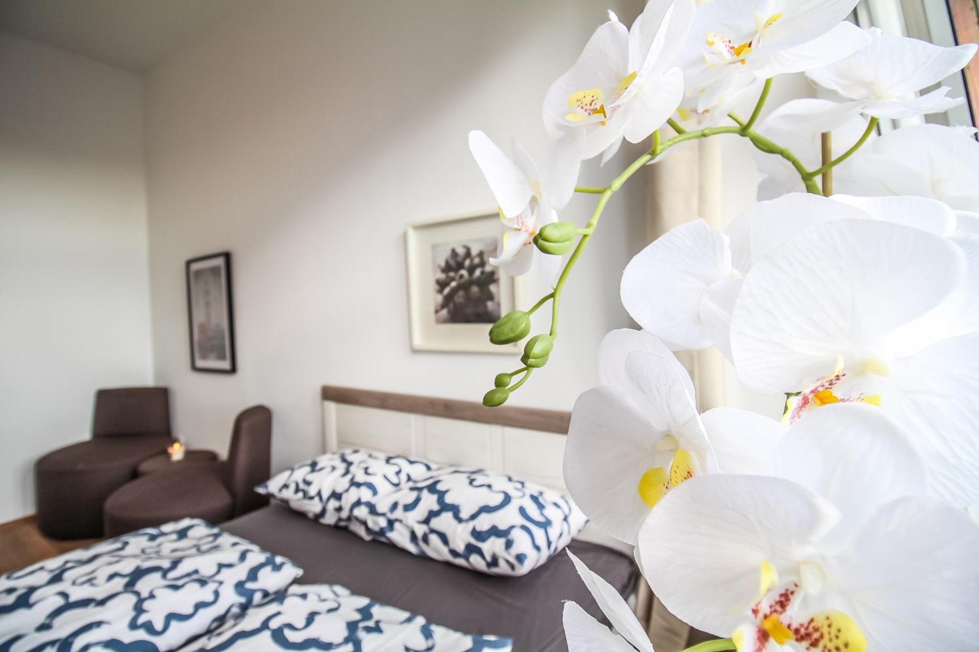 Disc Cozy Rooms In Liesing Viena Exterior foto